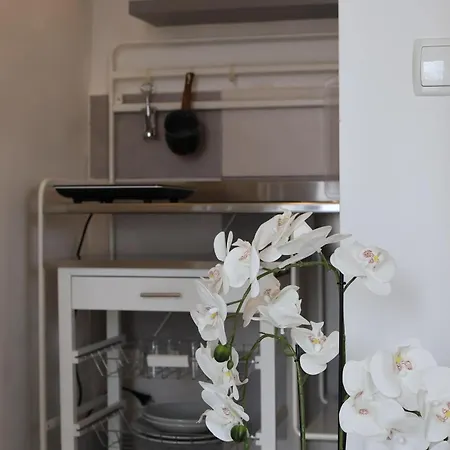 Apartman S&n *