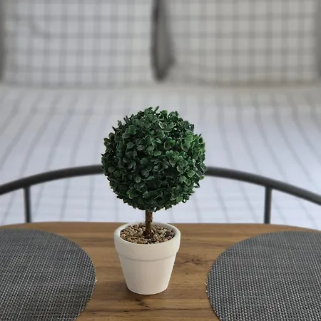 S&n Apartment *