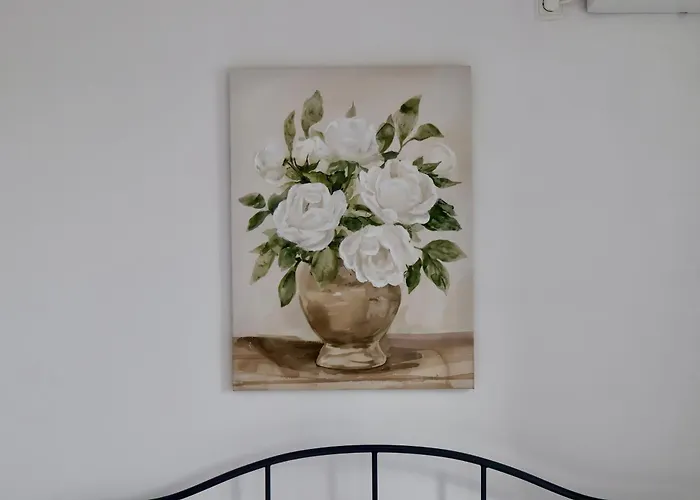 S&n 杜布罗夫尼克